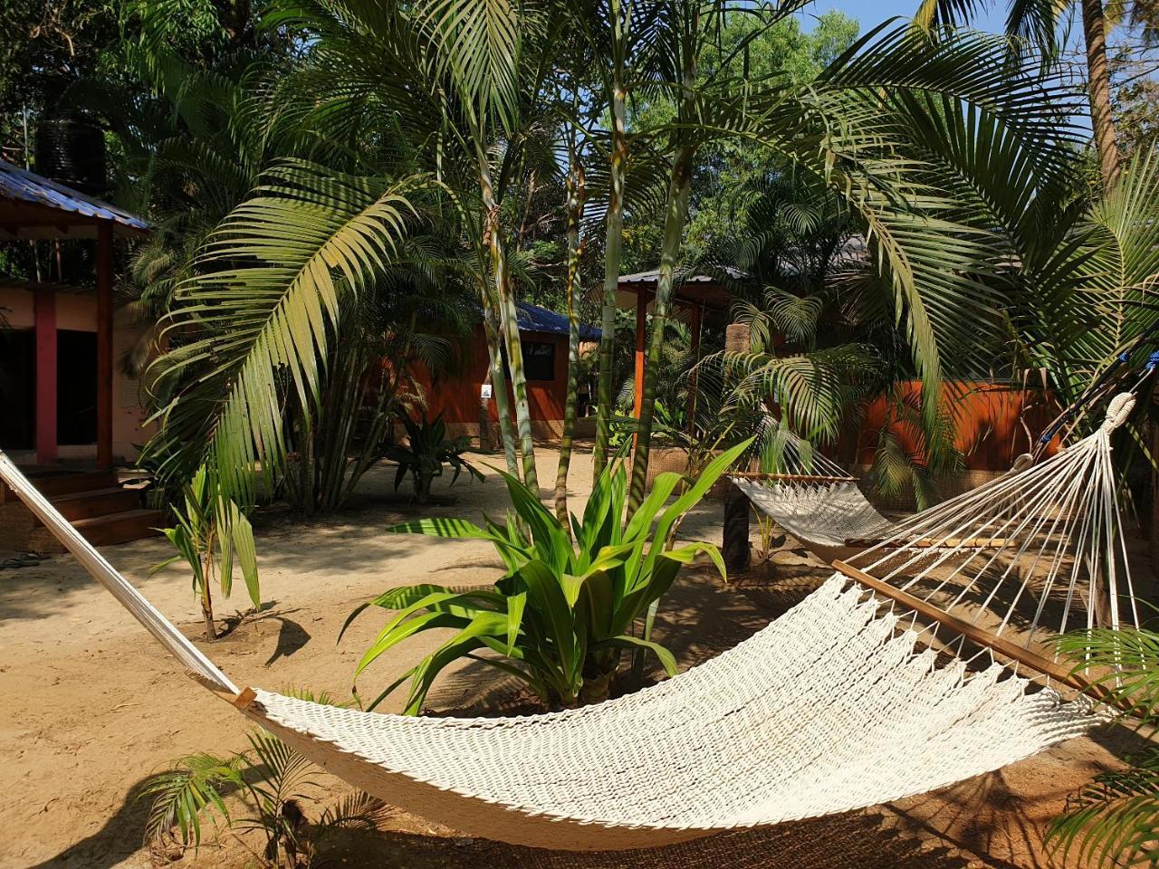 Palm Forest Palolem Eksteriør bilde